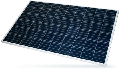 Arbre prairie campagne nature écologie